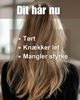 5-step rutine - slidt & skadet hår - MIKASU