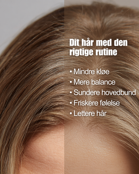 5-step rutine - Scalp care - MIKASU